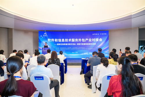 雄安高新區成功舉辦軟件和信息技術服務外包產業對接會，共筑產業新生態
